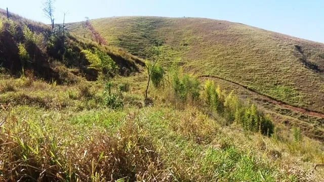Imagem Chácara à venda Zona Rural, Lavrinhas - SP