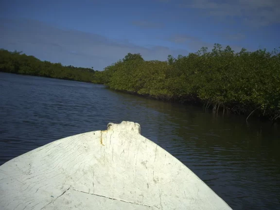 Imagem Ilha São Jerônimo