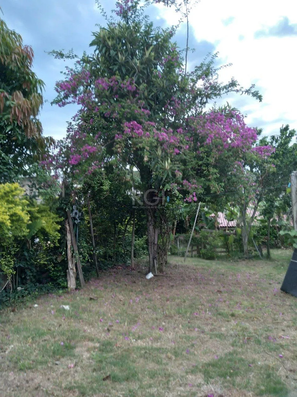 Imagem Casa em Belém Novo