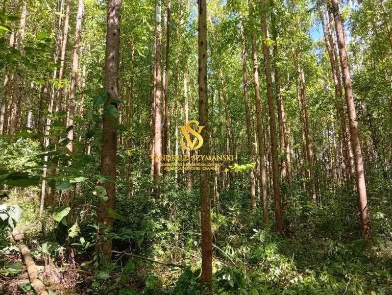 Imagem Chácara, Rural para Venda, Centro, União do Oeste
