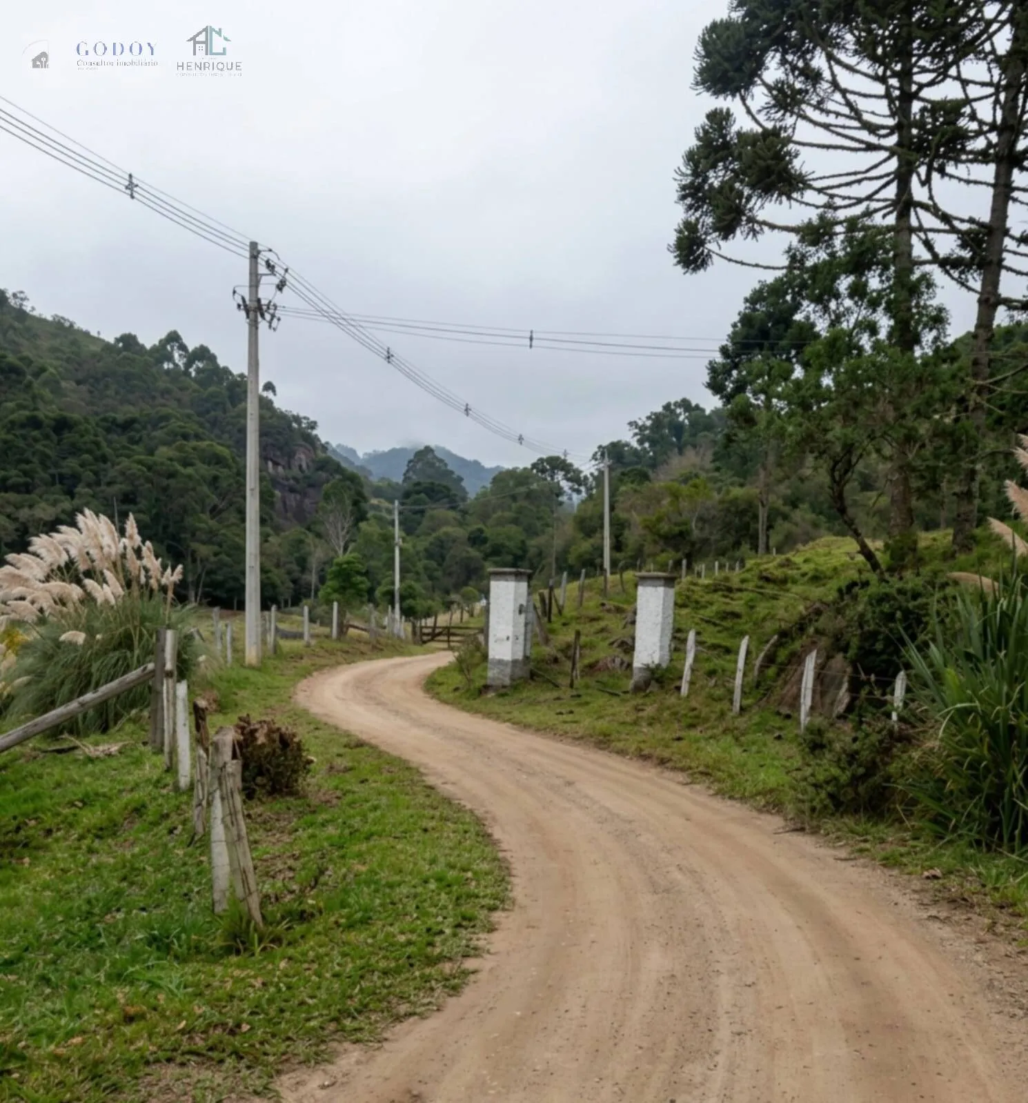 Imagem Área Rural à Venda em Cunha - Aproximadamente 40 Hectares