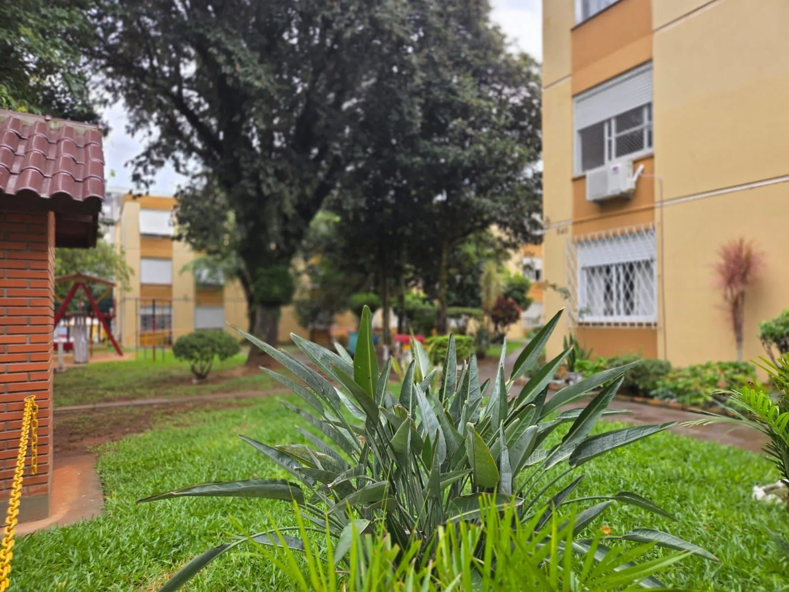 Imagem Apartamento em Passo da Areia