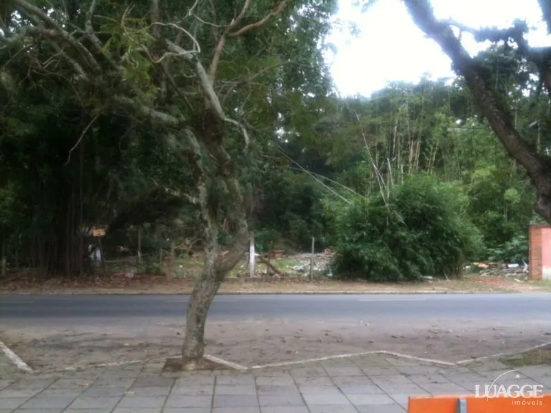 Imagem Terreno para Venda - 0m², 0 dormitórios, Serraria