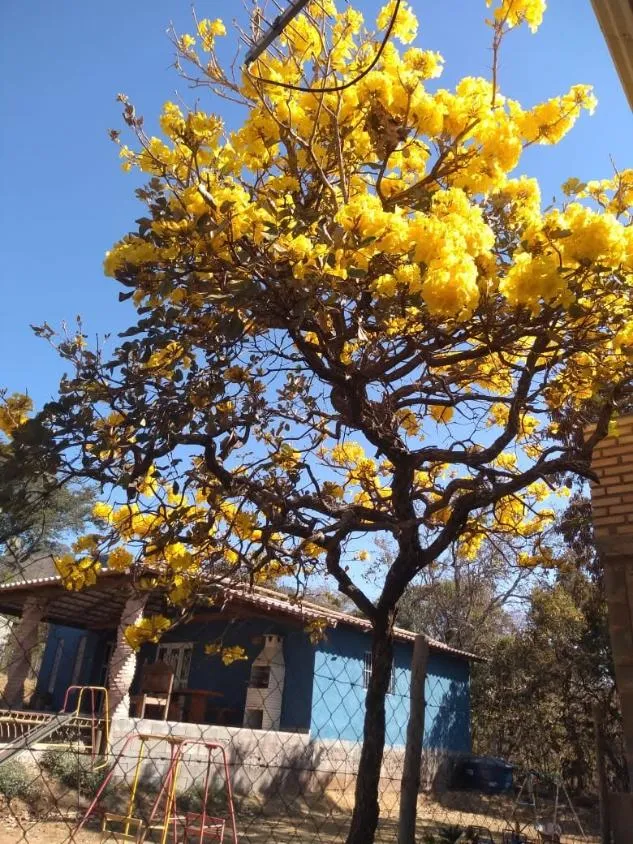Imagem Oportunidade abaixo do preço - Chacara a venda no Vivendas Santa Mônica II , com 1.000 m²