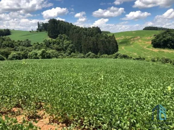 Imagem Área a venda terreno Rural para plantio e chácara na Lapa Paraná