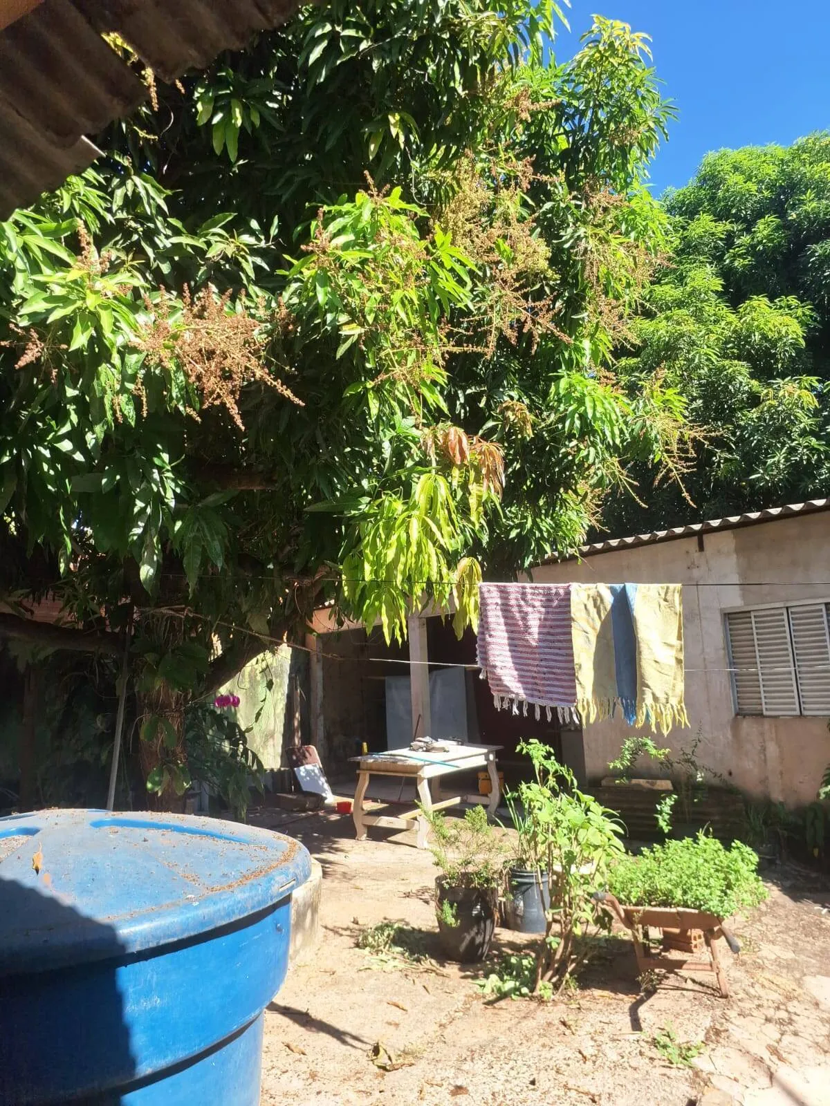 Imagem Casa 3 quartos Região do Coxipó
