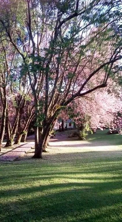 Imagem Sítio para Venda em Teresópolis / RJ no bairro Iucas