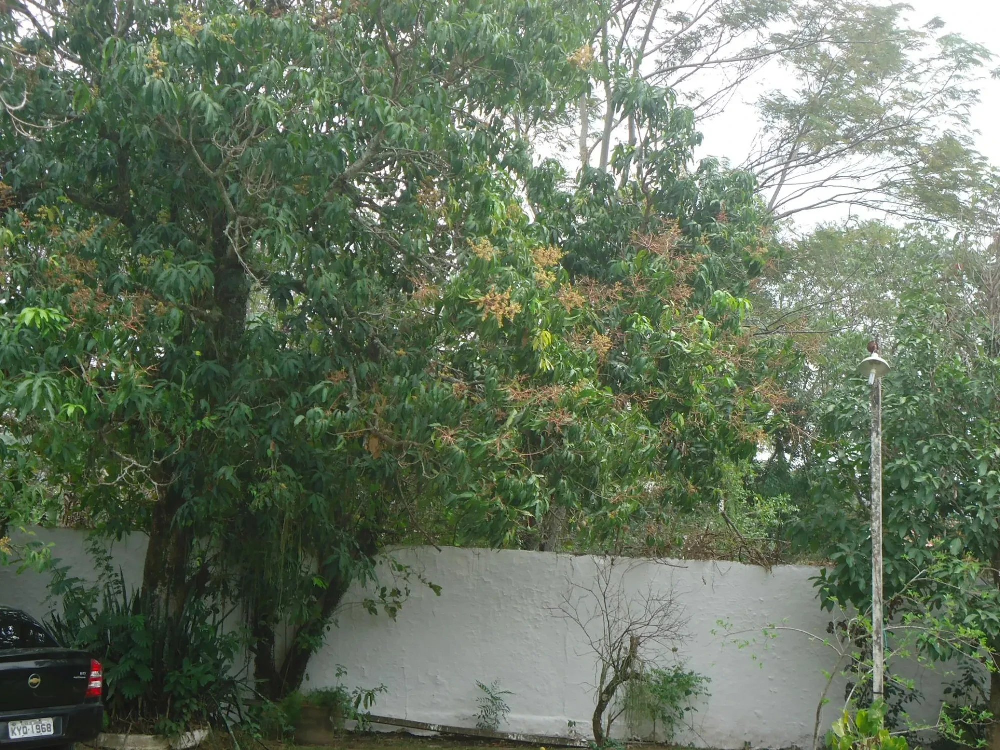 Imagem Casa com 3 Quartos à Venda, 95 m² em Engenho do Mato - Niterói