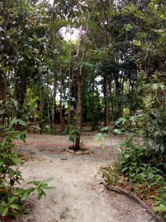Imagem EcoCamping