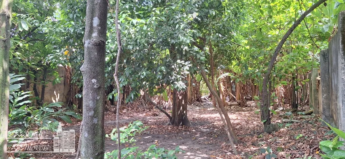 Imagem CASA 5 DORMITÓRIOS À VENDA EM UMARIZAL, BELÉM/PA