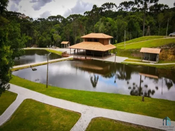 Imagem Chácara linda, açude grande, poço artesiano, 150 metros do asfalto, em Campina grande do sul, PR