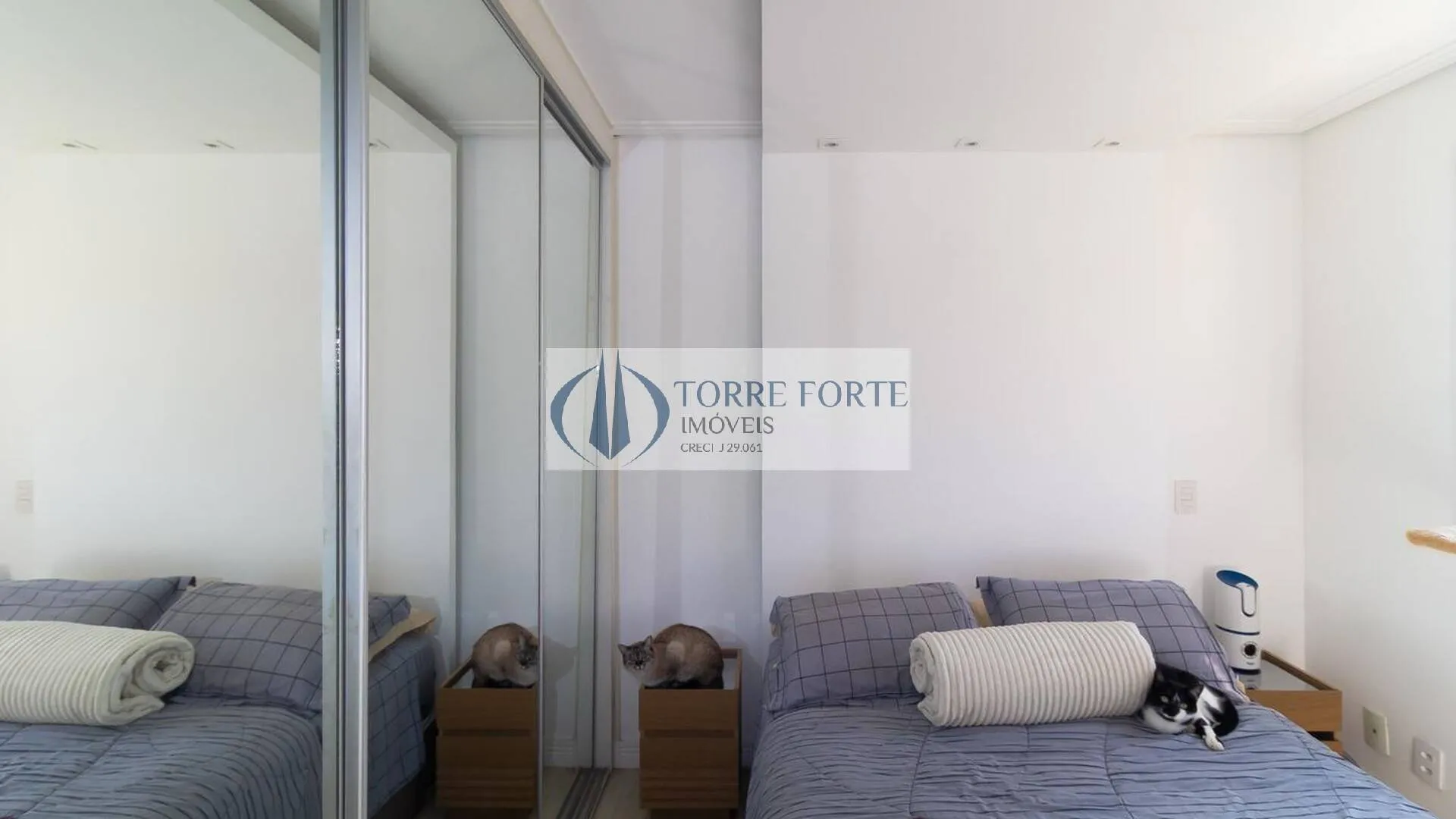 Imagem Lindo apartamento com 66 m², 2 dormitórios, 2 banheiros, na Vila Formosa