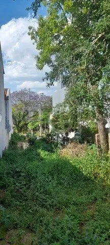 Imagem Terreno para Venda - 290.4m², 0 dormitórios, Santo Antonio, Porto Alegre