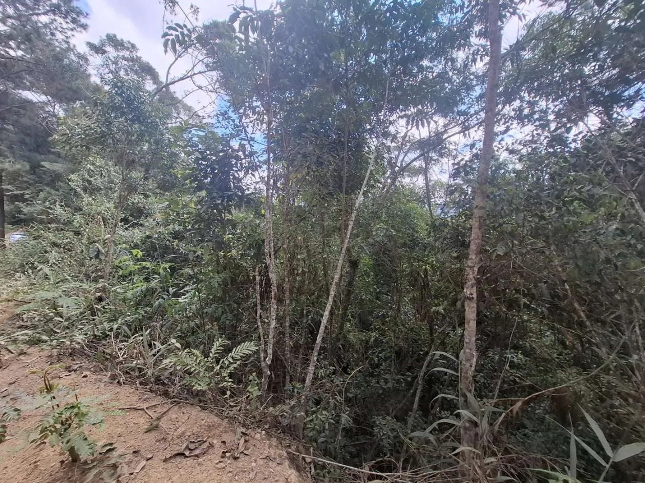 Imagem Terreno para Venda em Teresópolis / RJ no bairro Fazenda Suiça