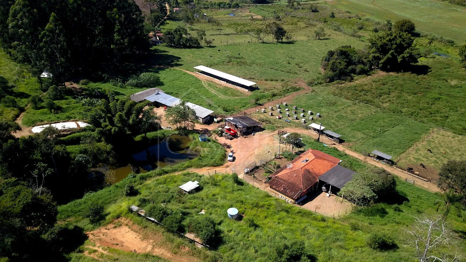 Imagem Sítio 24,2 ha à venda em Área Rural, Caldas