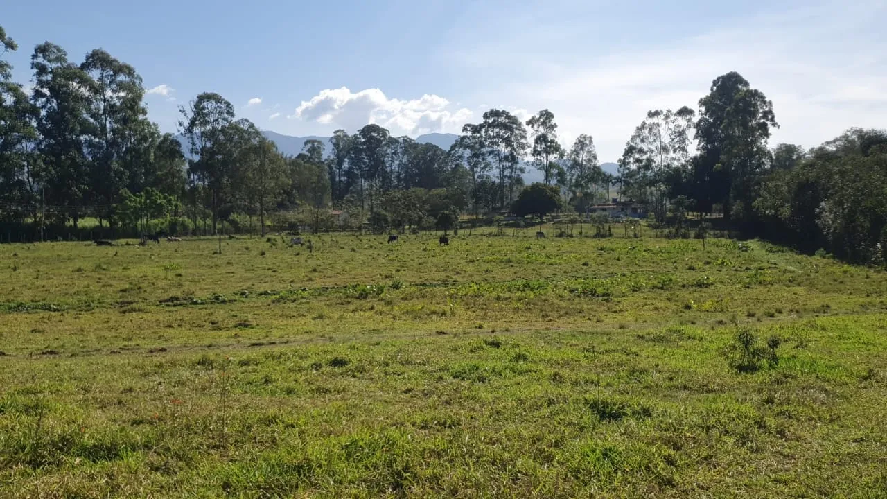 Imagem Chácara à venda 2 Quartos, 50000M², Zona Rural, Potim - SP