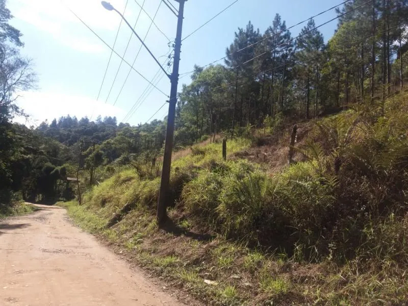 Imagem Área para Venda em Ribeirão Pires, Ouro Fino Paulista