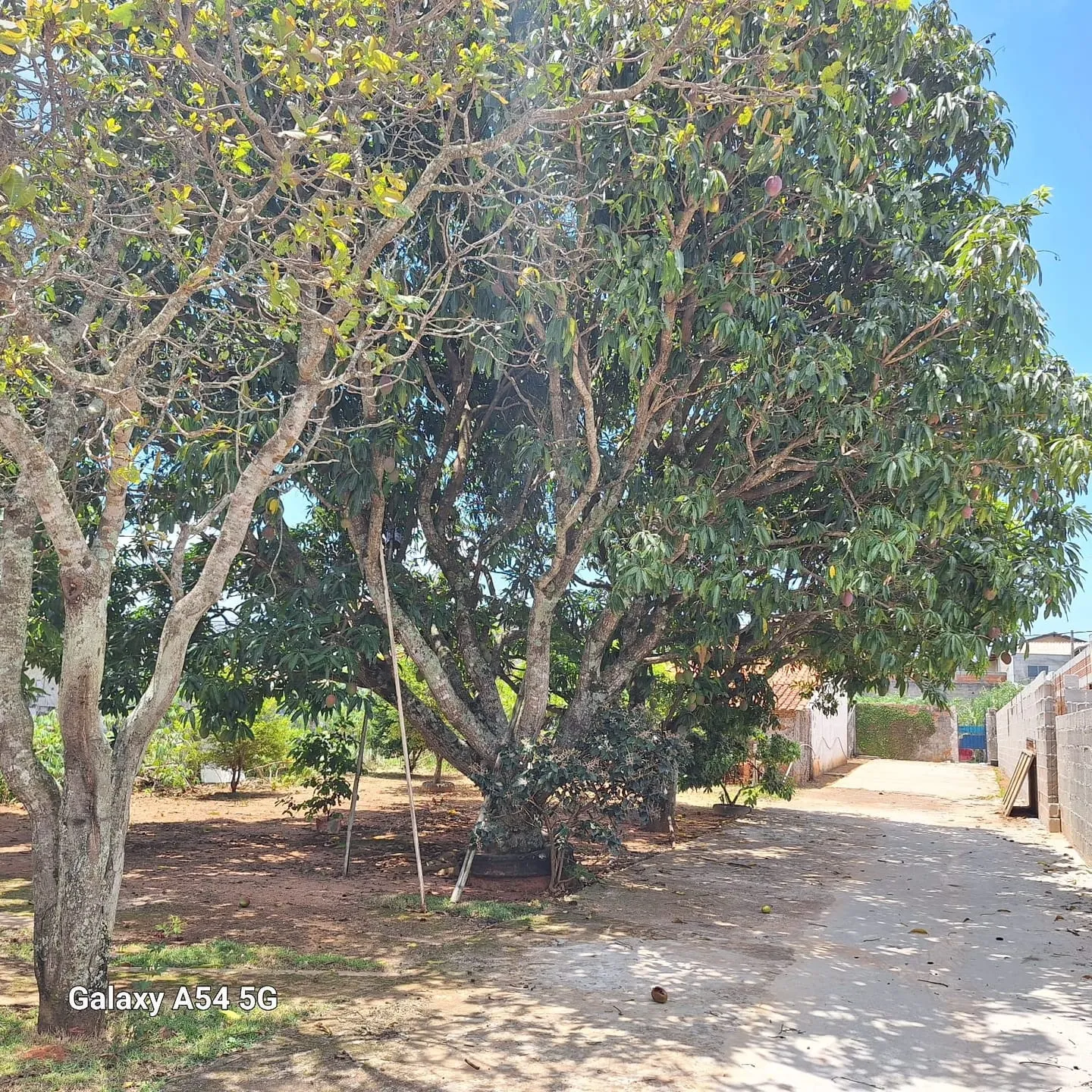 Imagem Chácara à venda e locação 2 Quartos, 1000M², Residencial Novo Horizonte, Taubaté - SP