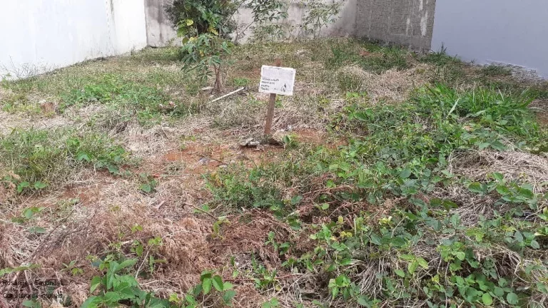 Imagem TERRENO RESIDENCIAL em POÇOS DE CALDAS - MG, JARDIM SÃO BENTO