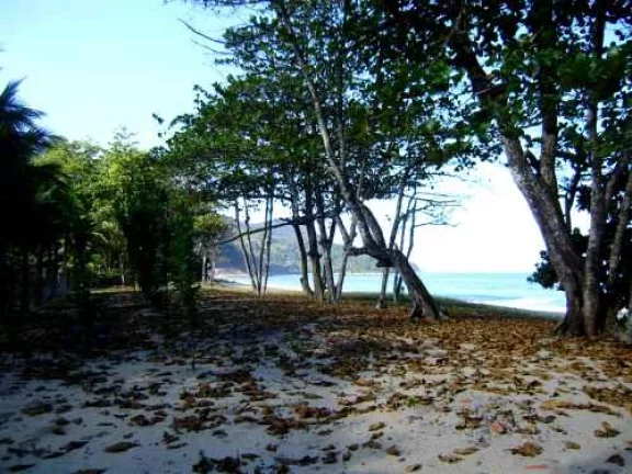 Imagem Área de 296.000 m2 - Sendo 190 mts de Frente para Praia do Simão.