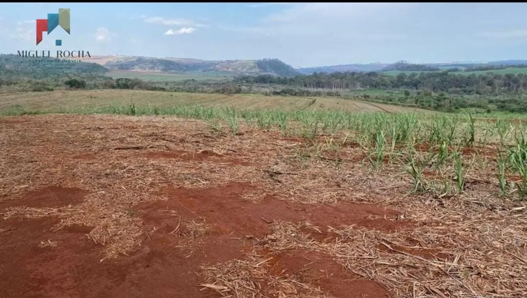 Foto do imóvel Fazenda a venda São Carlos SP em Jardim São Carlos, São Carlos - SP