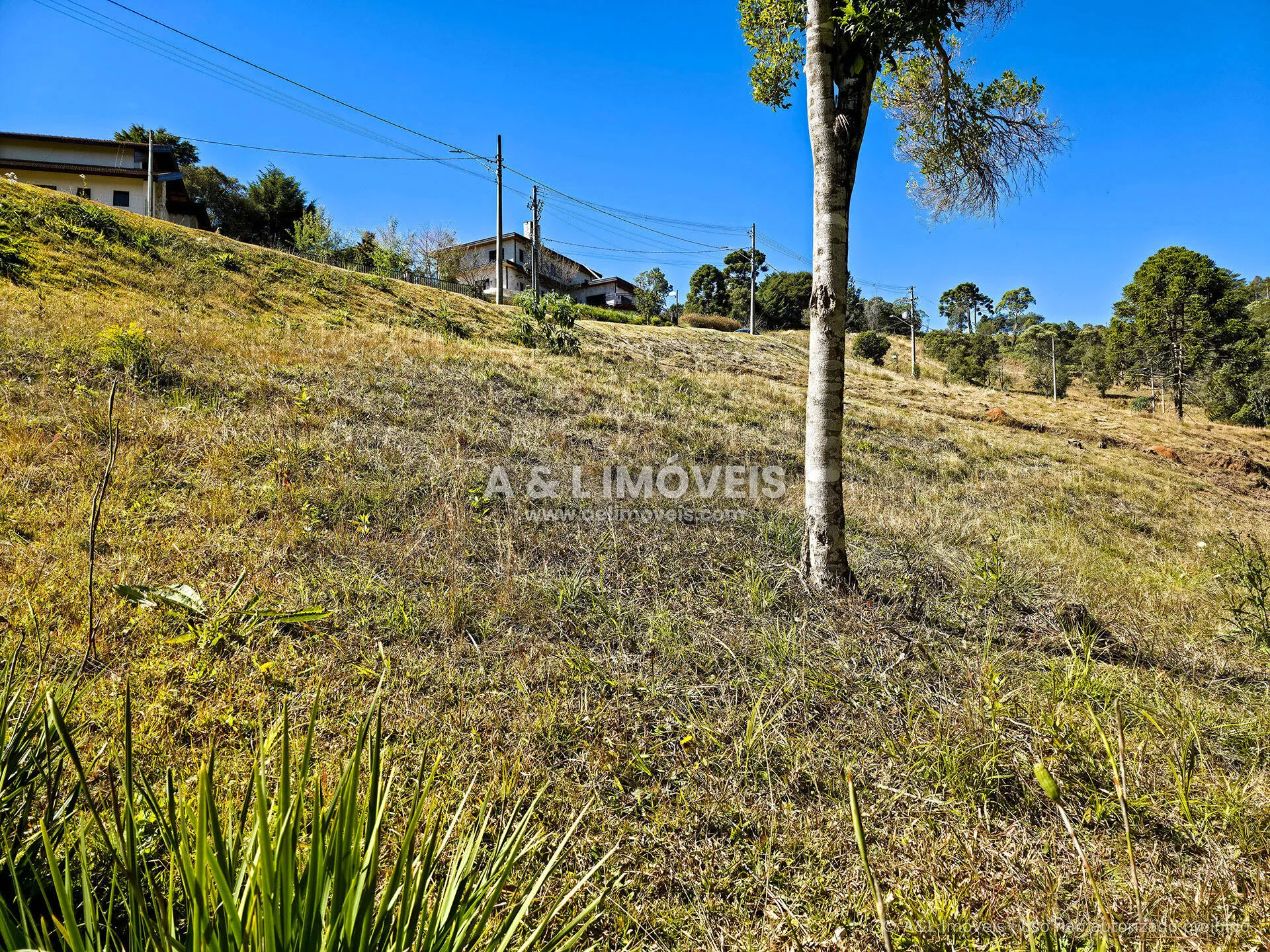 Imagem Lote à venda no Reserva Figueiredo | Campos do Jordão