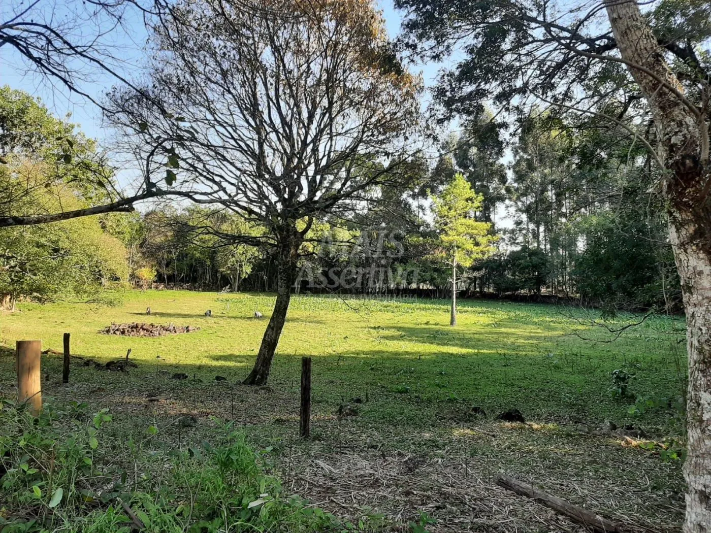 Imagem Área de 10 hectares para venda em São Francisco de Paula