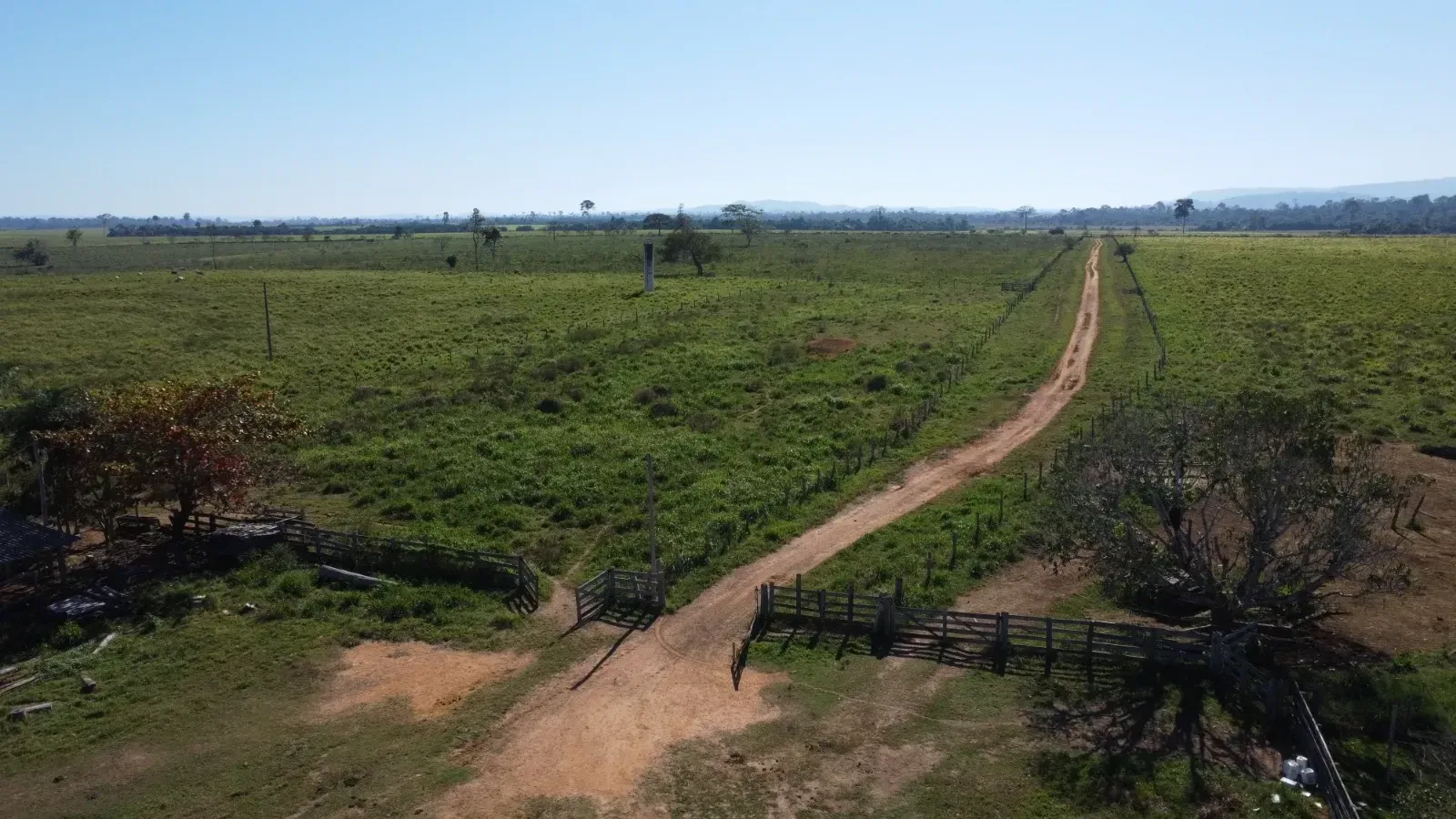 Imagem Fazenda à Venda, 484 HA em São Félix do Xingu - São Félix do Xingu