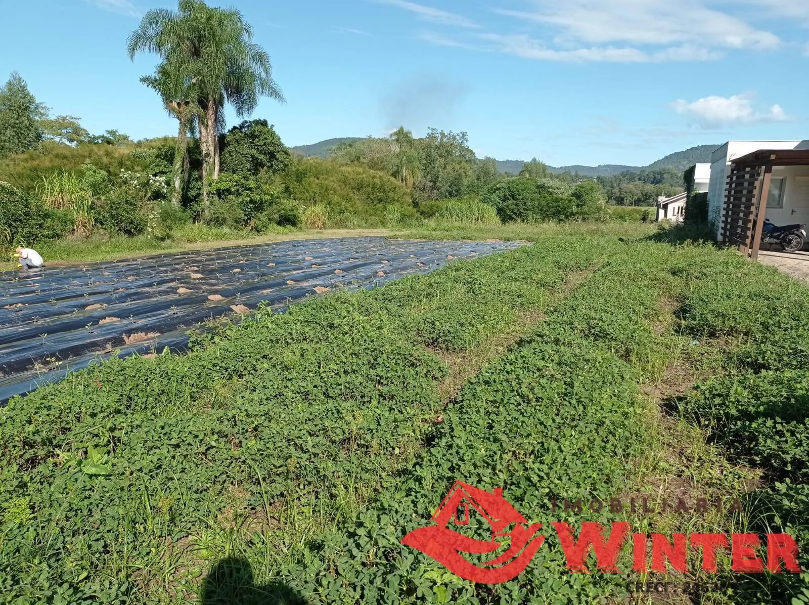 Foto do imóvel Área de Terra Urbana de 3.000m² em Bom Fim Alto , Bom Princípio.