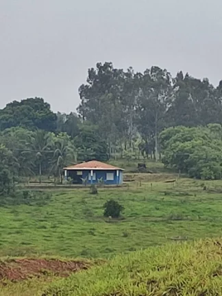 Imagem Sítio de alqueires 1.2 na Prata em Aracatuba tem opção de 4. 5 e de 2.4 alq