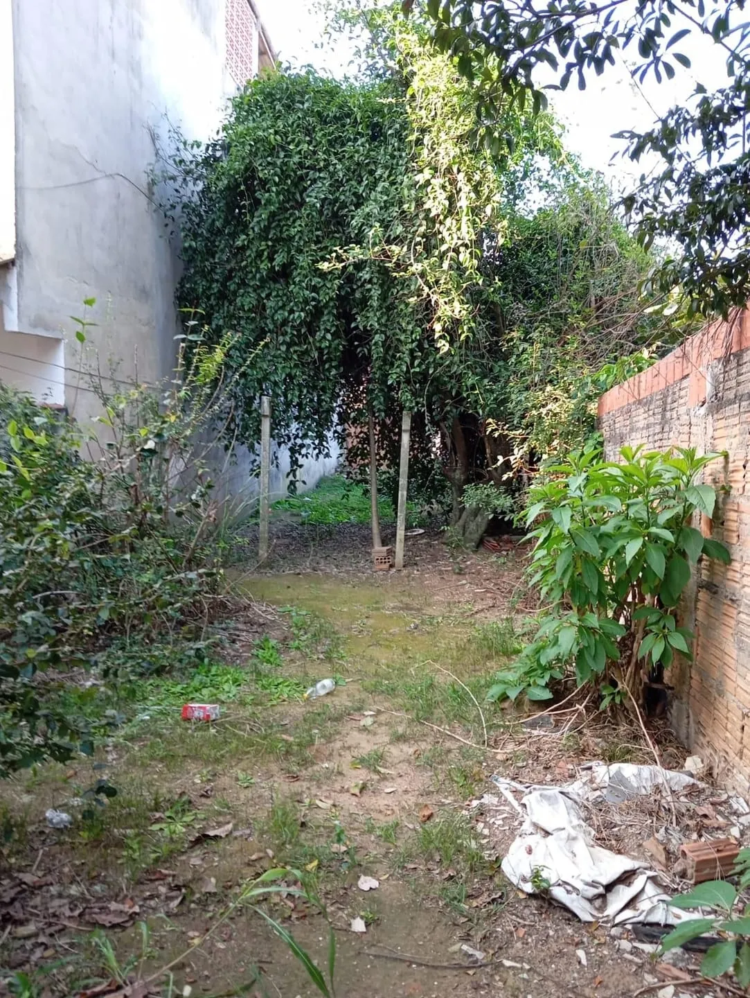Imagem Terreno à venda, Frei Galvão, Potim, SP