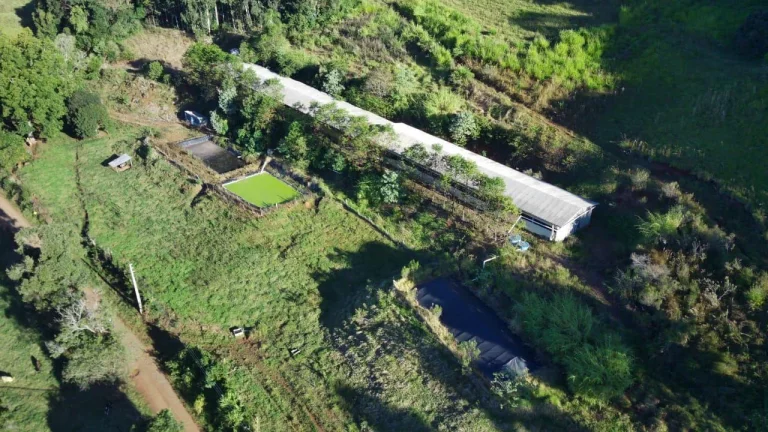 Imagem Área Agrícola para Venda em Concórdia, Interior