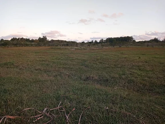 Imagem Linda área com 2 Ha., Casa, Galpão, Lavouras e Açudes, Águas Claras, Viamão