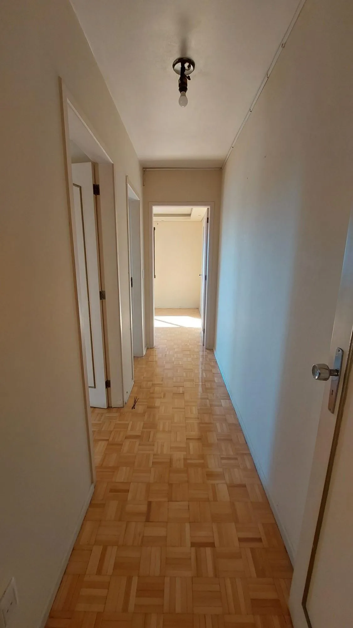 Imagem Apartamento em Centro