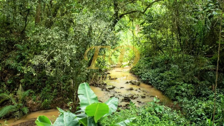 Imagem Sitio para Lazer ou Residir em Mairiporã