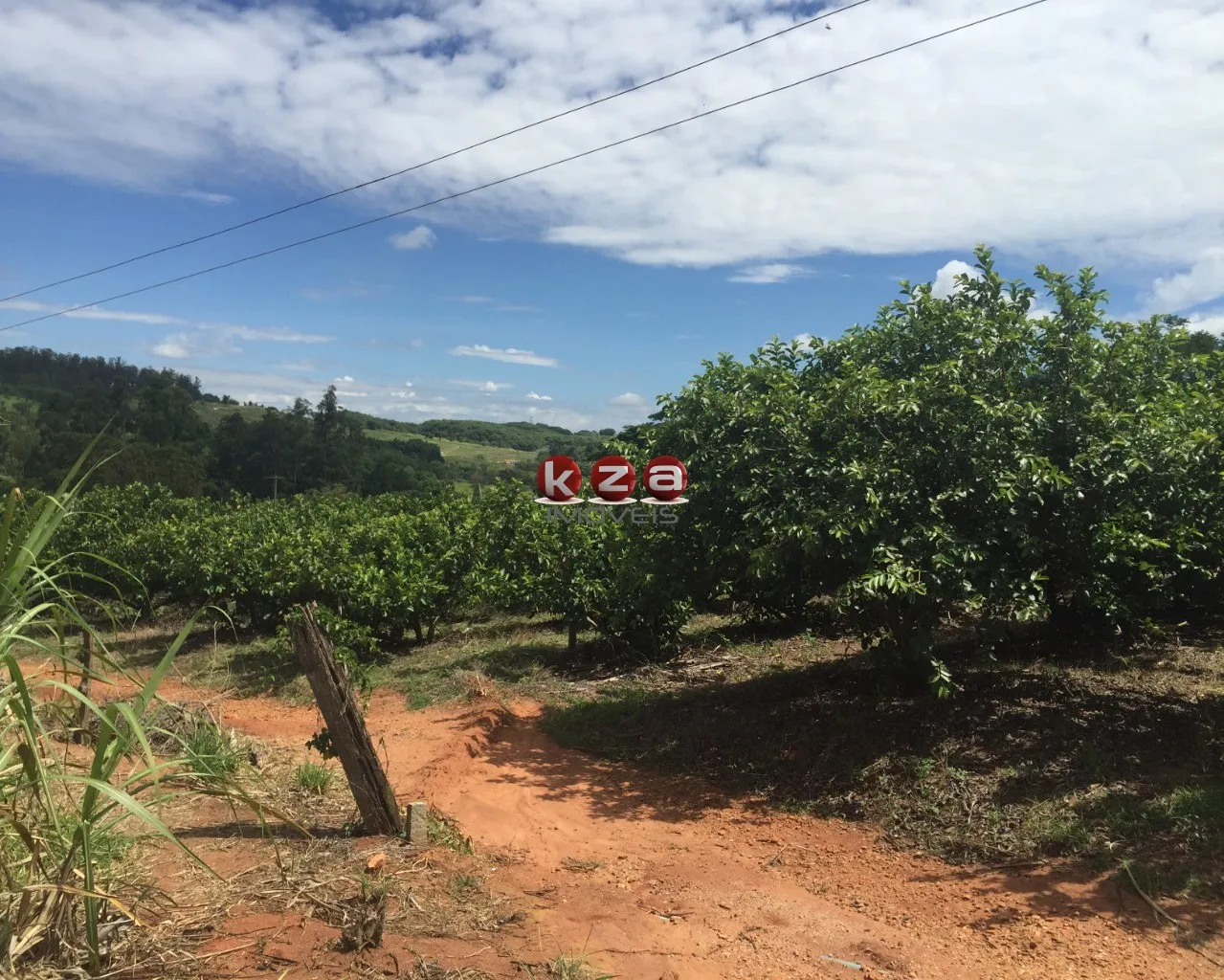 Imagem Sitio à venda em Valinhos-SP: 3 quartos, 1 sala, 2 banheiros, 46.000m² de área no bairro Macuco!