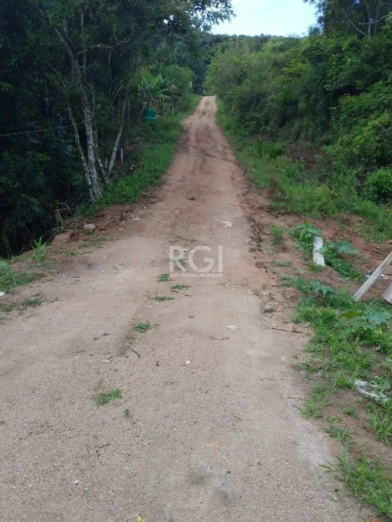 Imagem Area para Venda - 40000m², 0 dormitórios, Vila Nova