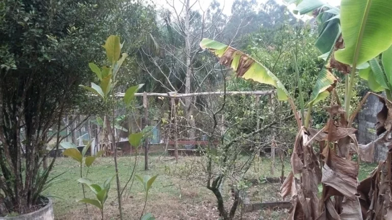 Imagem Atibaia Chácara Condomínio Fechado Aceita Permuta!