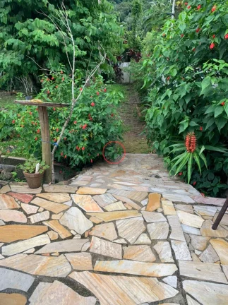 Imagem CASA A VENDA COM 3 DORMITÓRIOS, SENDO 1 SUÍTE, EM TERRENO DE 470 METROS , EM BOISSUCANGA