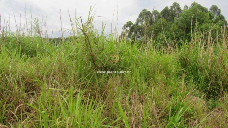 Imagem Terreno para Venda em Concórdia, Industriários