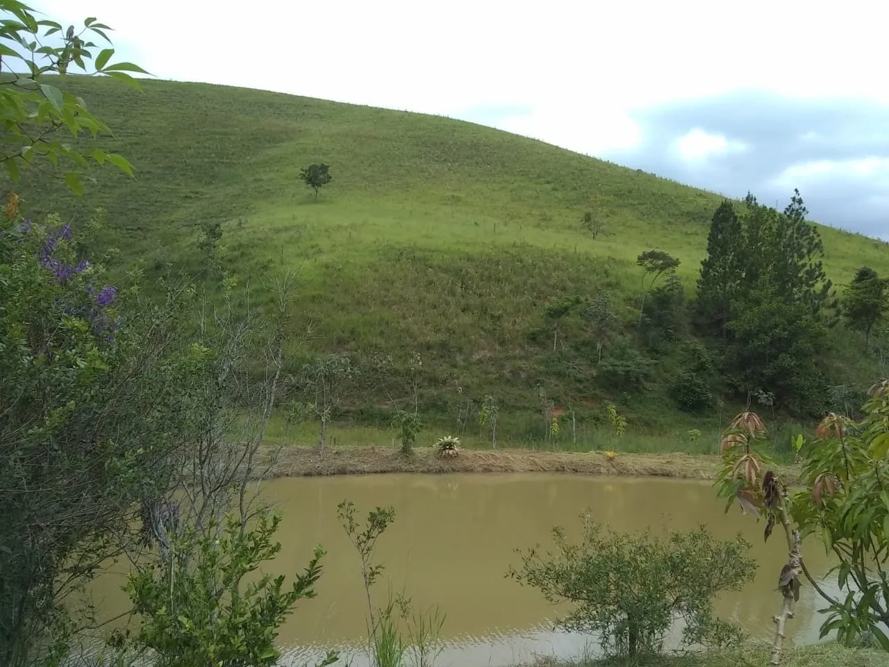 Imagem Chácara à venda 2 Quartos, 135000M², Zona Rural, Piquete - SP