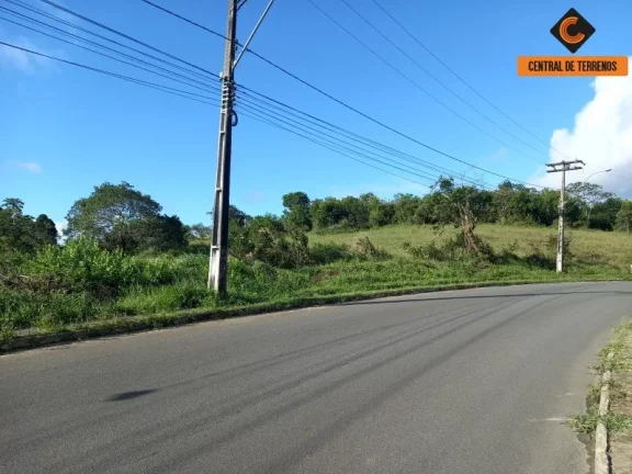 Imagem ÁREA EM SIMÕES FILHO