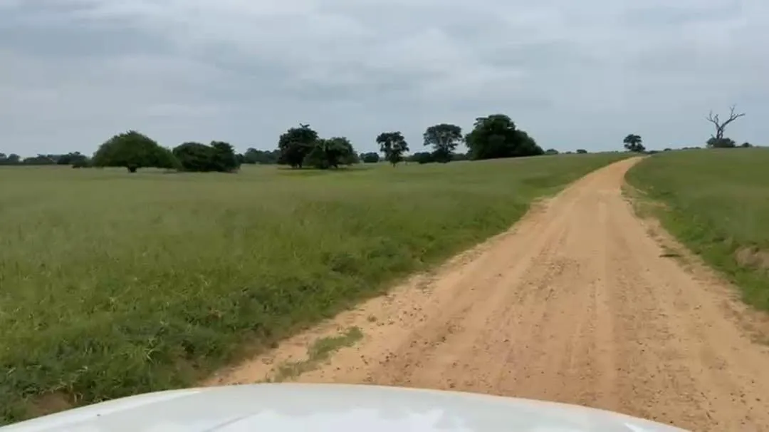 Imagem Vendo excelente fazenda em Jaíba/MG ?área total de 3.150 hectares
