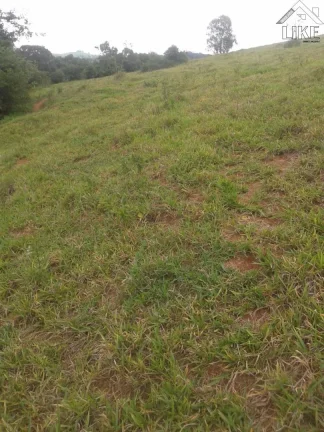 Imagem [Vendo Sítio em Brazópolis] [7 hectares com córrego d'água]