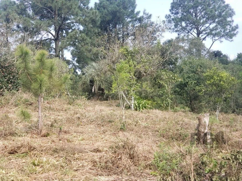 Imagem Terreno em Vila Nova
