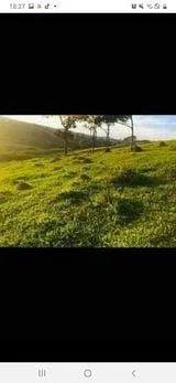 Imagem Terreno à Venda em Piedade dos Gerais / MG 15 hectares de área total