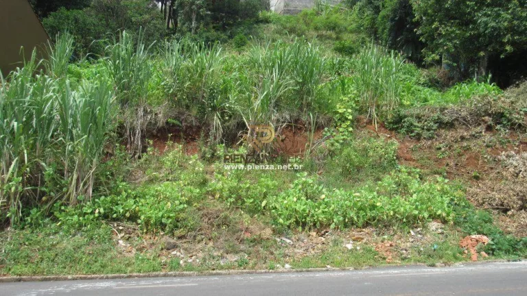 Imagem Terreno para Venda em Concórdia, Das Nações