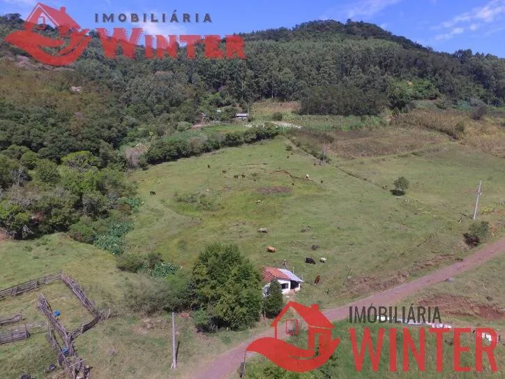 Imagem Fazenda de 61 hectares na cidade de Linha Nova.