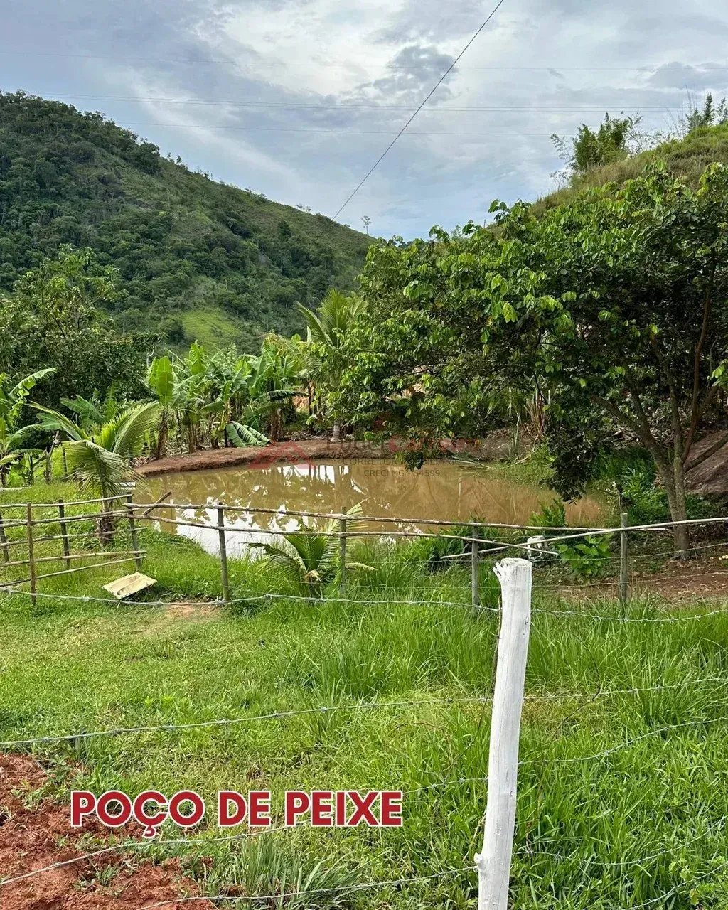 Imagem Imóvel