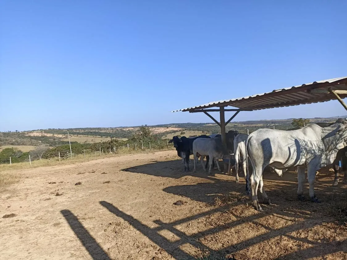 Imagem Terreno a venda de 24,3 hectares às margens do Rio Picão